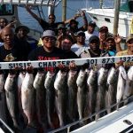 catching striped bass in Solomon's MD