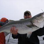 rockfish striper caught Chesapeake Bay charter fishing boat