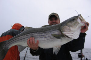 rockfish striper caught Chesapeake Bay charter fishing boat
