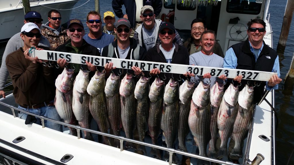 charter-fishing-arnold-md-near-annapolis