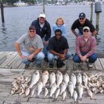 different types of fish in the Chesapeake Bay