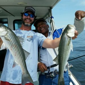 Chesapeake Bay Fishing Charter Captain Greg Buckner Rockfish Striped Bass Striper