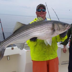 Chesapeake Bay charter captain Steve holding a rockfish