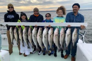 Best-Live-lining-rockfish-charter-fishing-chesapeake-bay-1