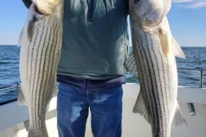 Best-Live-lining-rockfish-charter-fishing-chesapeake-bay-2