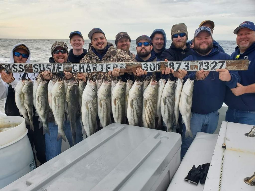 Live Lining Season is Almost here Miss Susie Charters