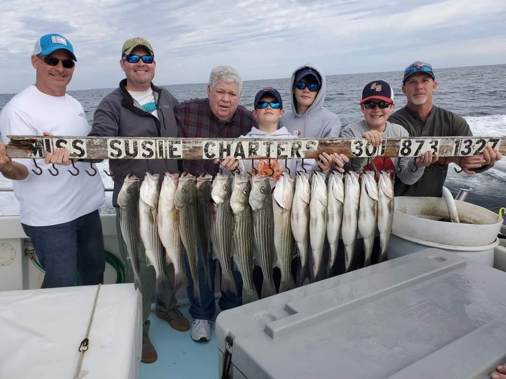 Live Lining Season is Almost here Miss Susie Charters