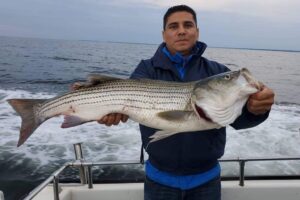 Best-Live-lining-rockfish-charter-fishing-chesapeake-bay-6