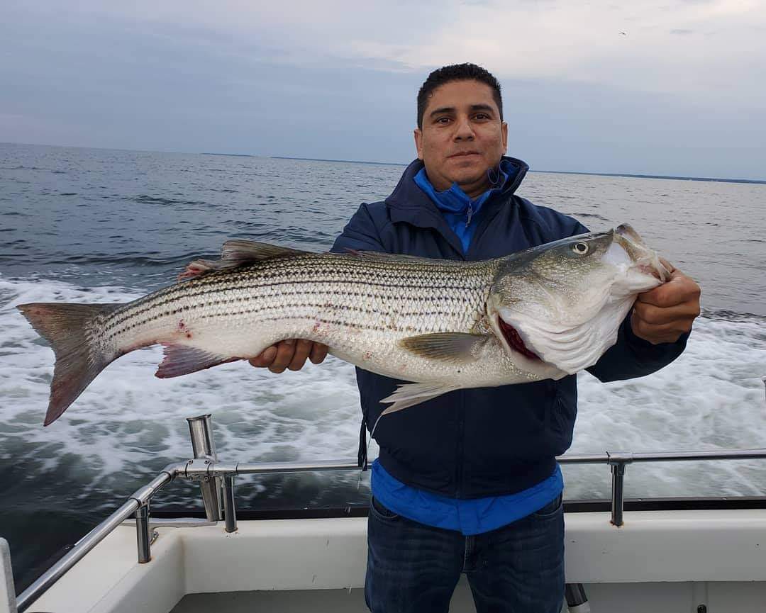 Live Lining Season is Almost here Miss Susie Charters