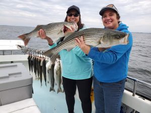Best-Live-lining-rockfish-charter-fishing-chesapeake-bay