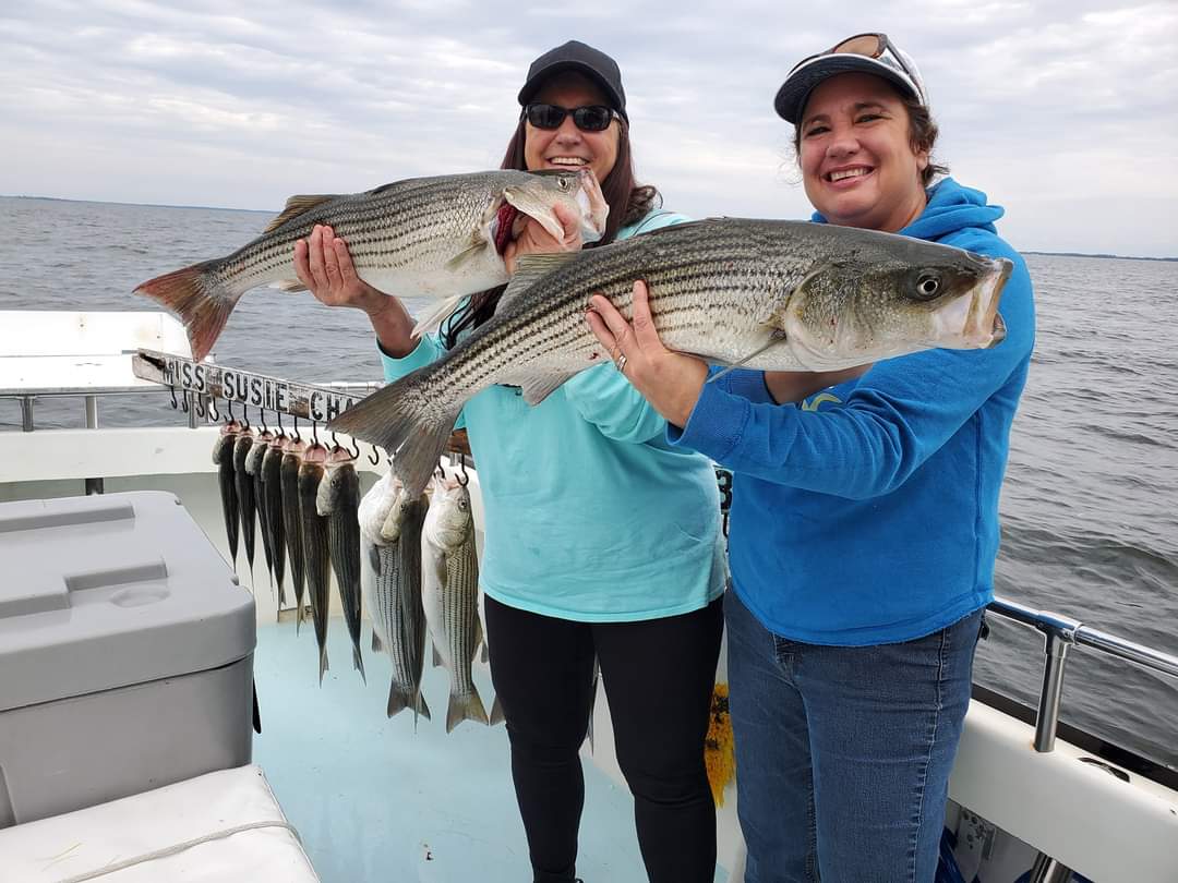 Live Lining Season is Almost here Miss Susie Charters