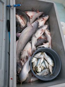 Best fishing charters Maryland Virginia 