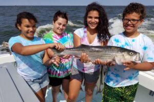 Chesapeake-bay-md-rockfish-striped-bass