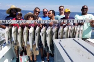 chesapeake-bay-fishing-charter-best