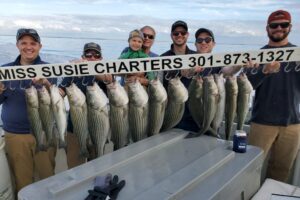 Fall Rockfish Charters Miss Susie Chaters Best Fishing Chesapeake Bay