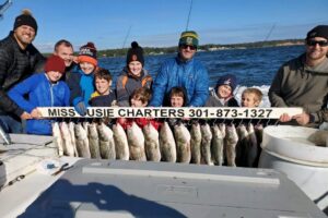 Fall Rockfish season best chesapeake bay fishing charter miss susie