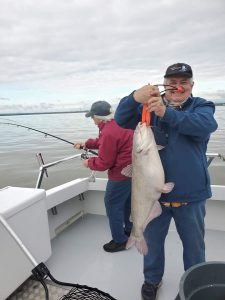 catfishing charter catch