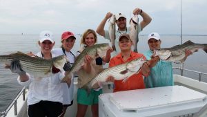 Fish caught on Miss Susie with Captain Greg Buckner on the Chesapeake Bay