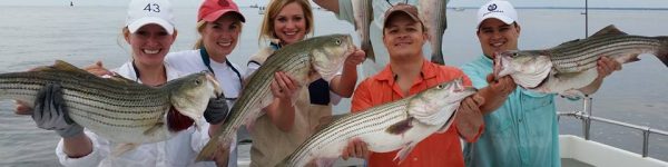 Fishing for rockfish showing the day's catch!